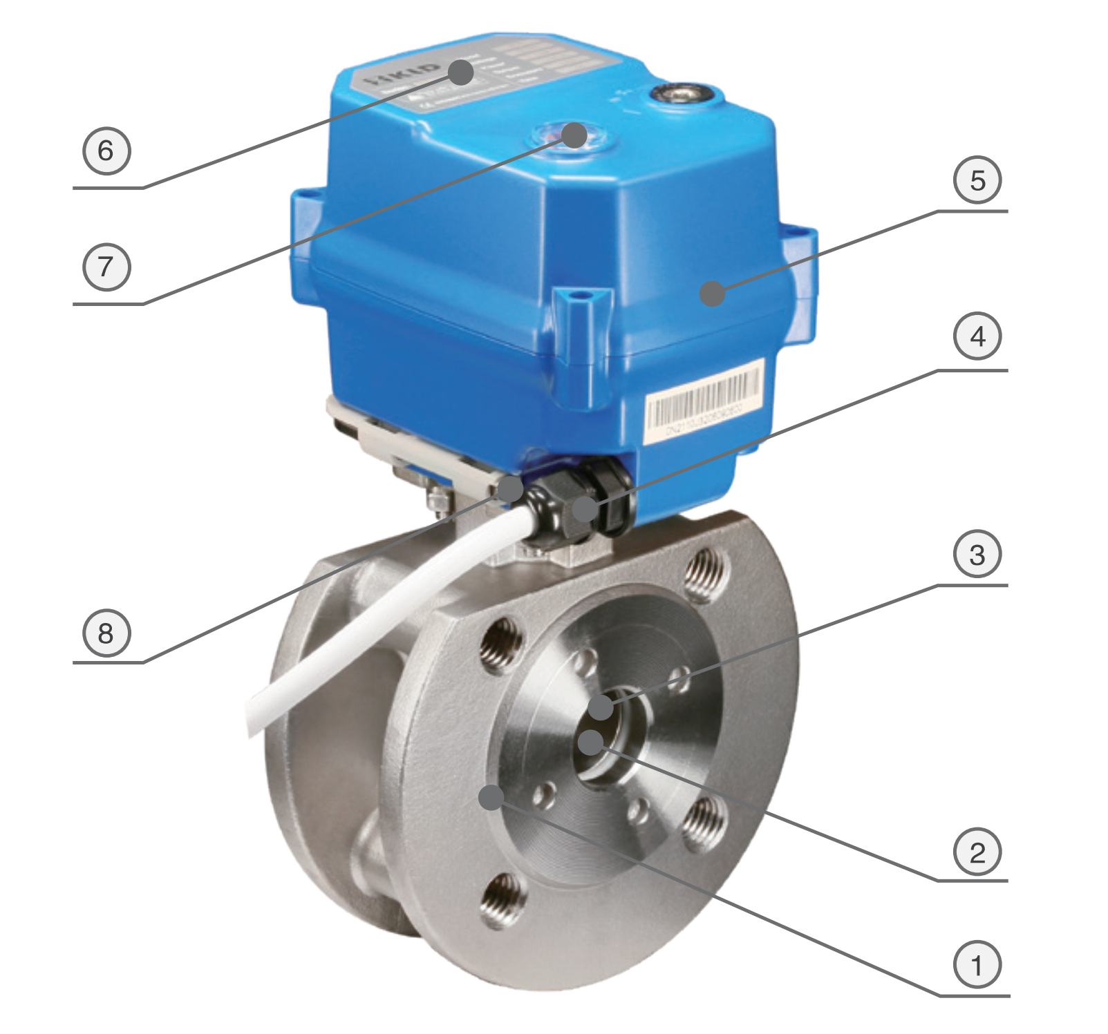 1 ~!phoenix_varIMG49!~